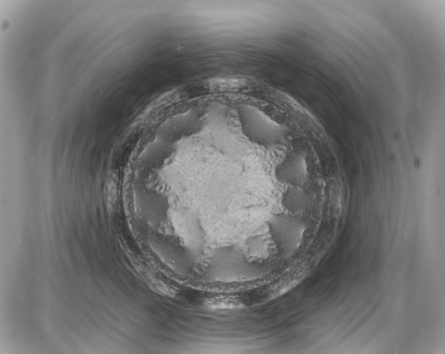 X0000086780761200704131214