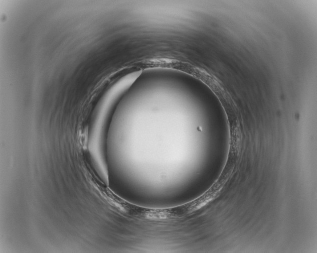 X0000086780762200704131214