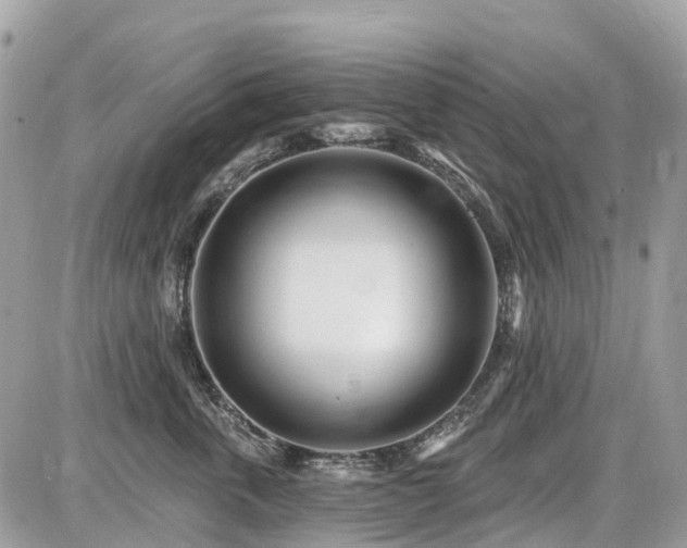 X0000086780763200704131214