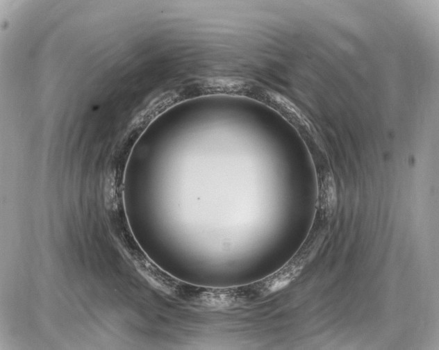 X0000086780764200704131214