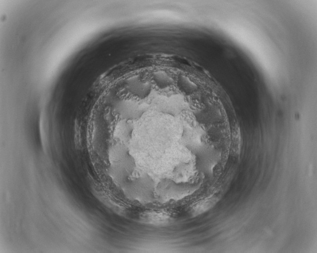 X0000086780765200704131214