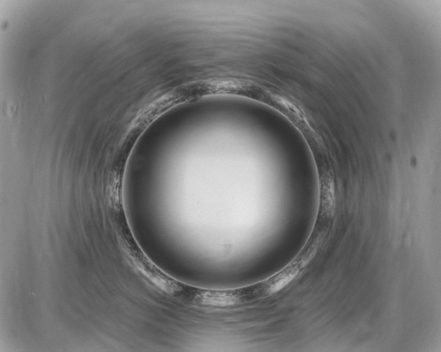 X0000086780766200704131214