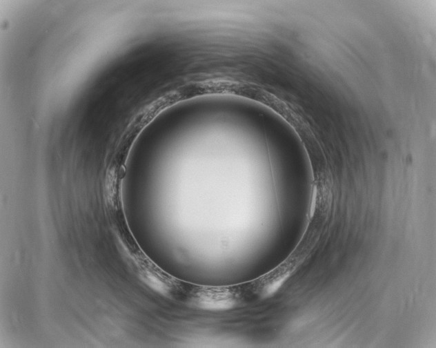 X0000086780767200704131214