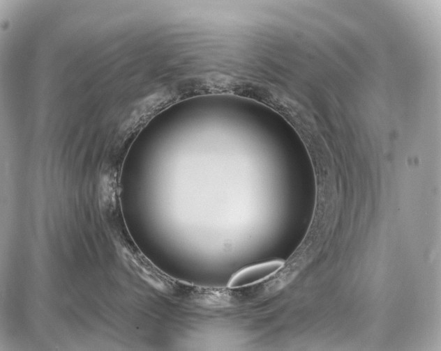 X0000086780768200704131214