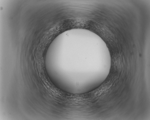 X0000086780769200704131213