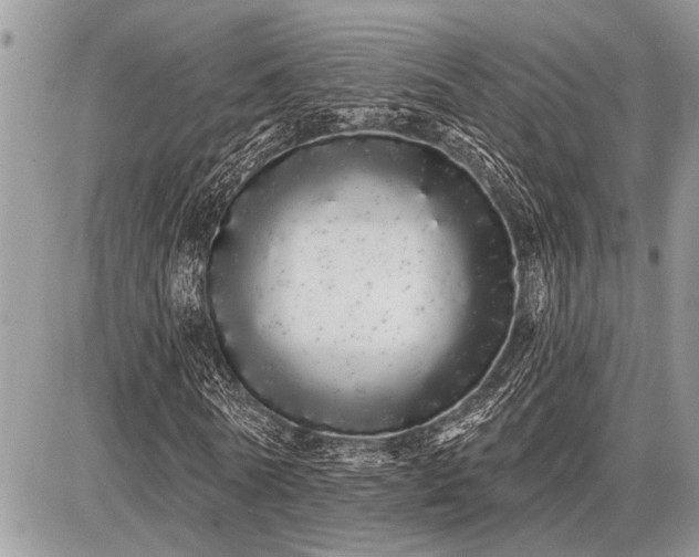 X0000086780770200704131213