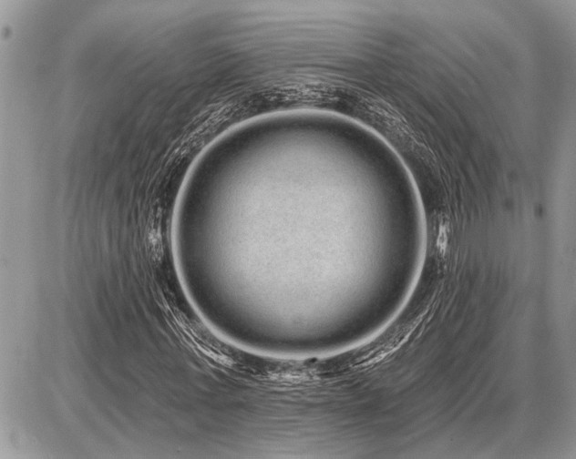 X0000086780771200704131213