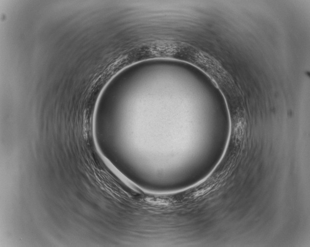 X0000086780772200704131213