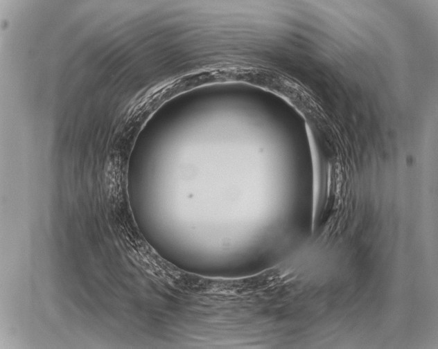 X0000086780773200704131213