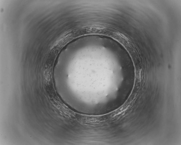 X0000086780774200704131213