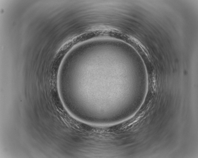 X0000086780775200704131213