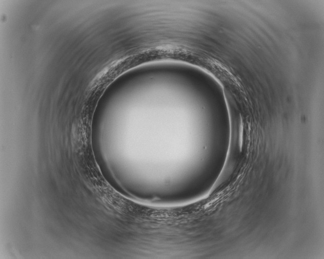 X0000086780776200704131213