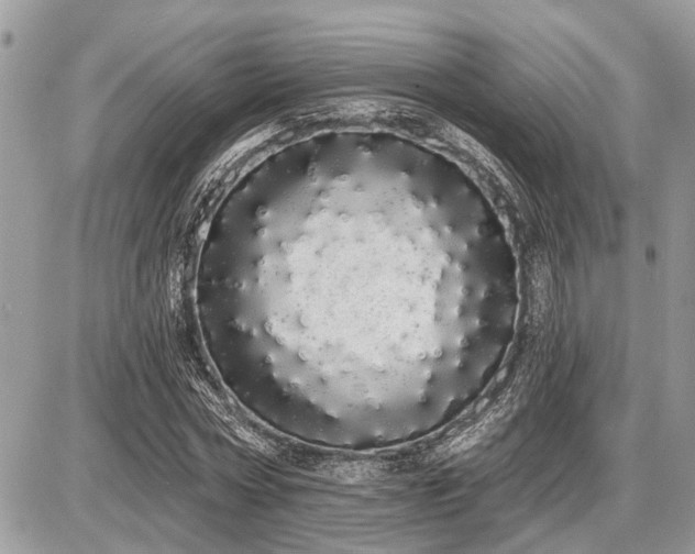 X0000086780778200704131213