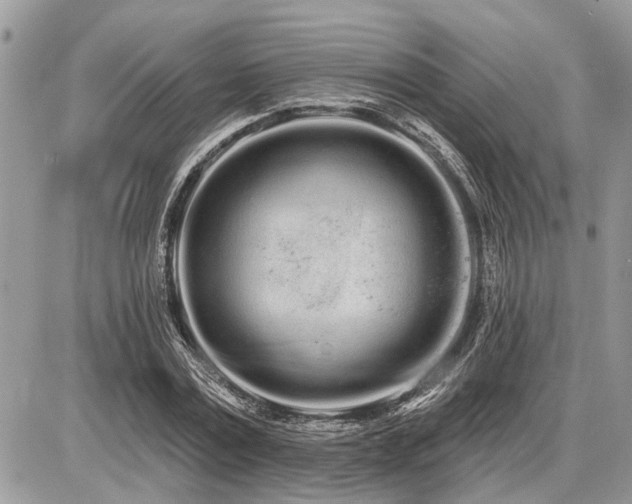 X0000086780779200704131213