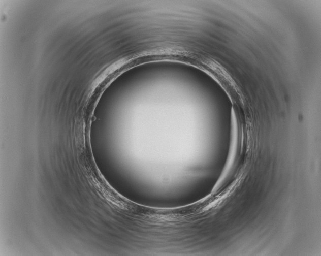 X0000086780781200704131213