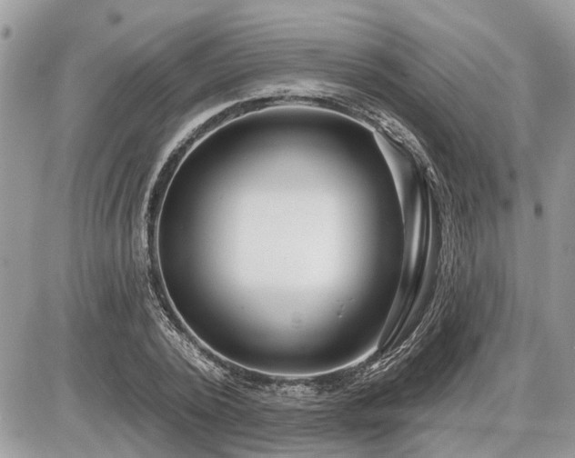 X0000086780784200704131213