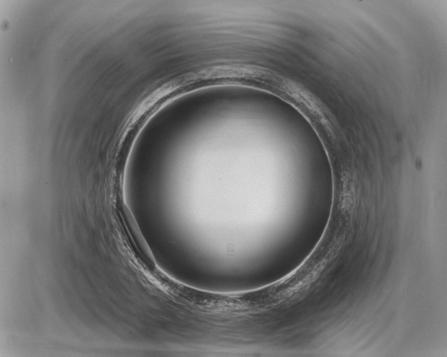 X0000086780786200704131213