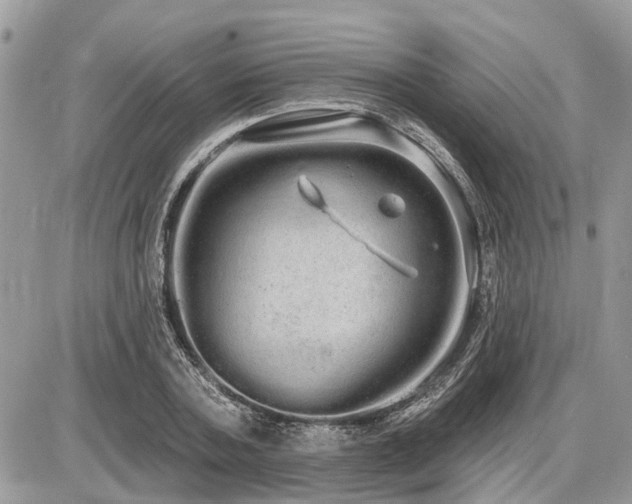 X0000086780787200704131213