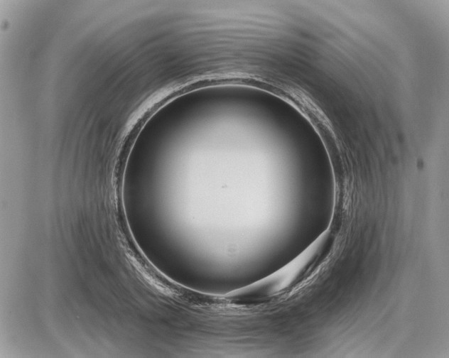 X0000086780789200704131213