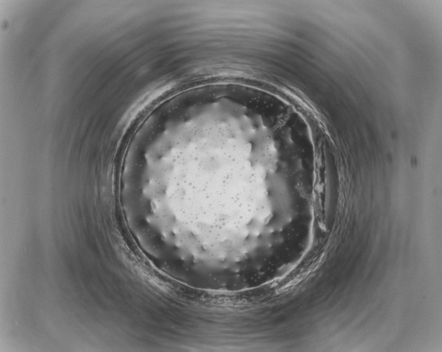 X0000086780790200704131213