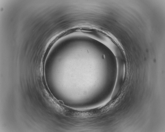 X0000086780791200704131213