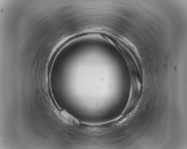 X0000086780792200704131213