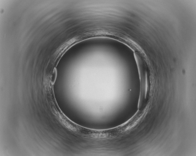 X0000086780793200704131213