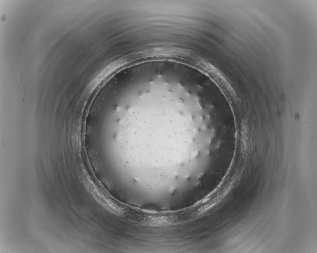 X0000086780794200704131213