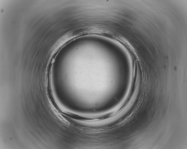 X0000086780795200704131213