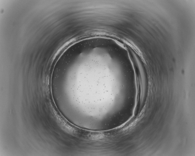 X0000086780798200704131213