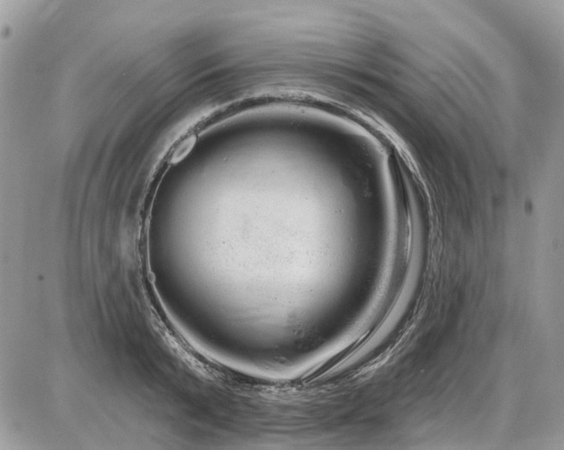 X0000086780799200704131213