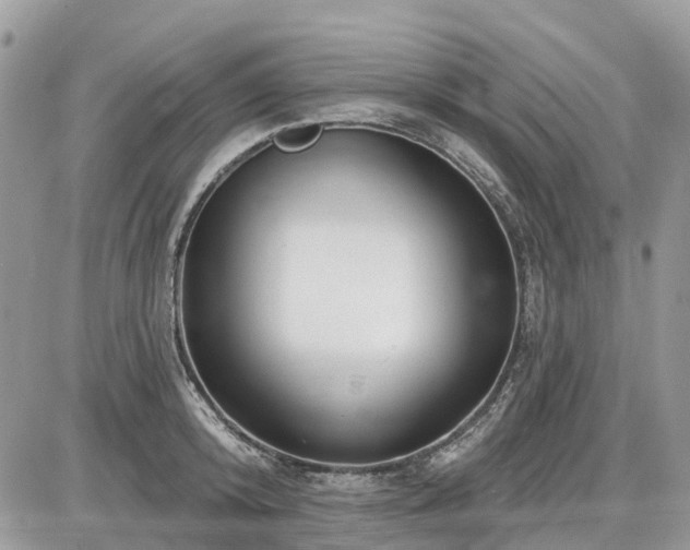 X0000086780800200704131213