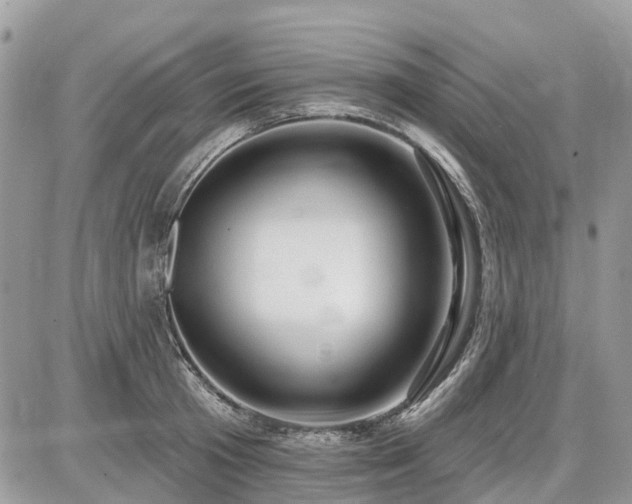 X0000086780801200704131213