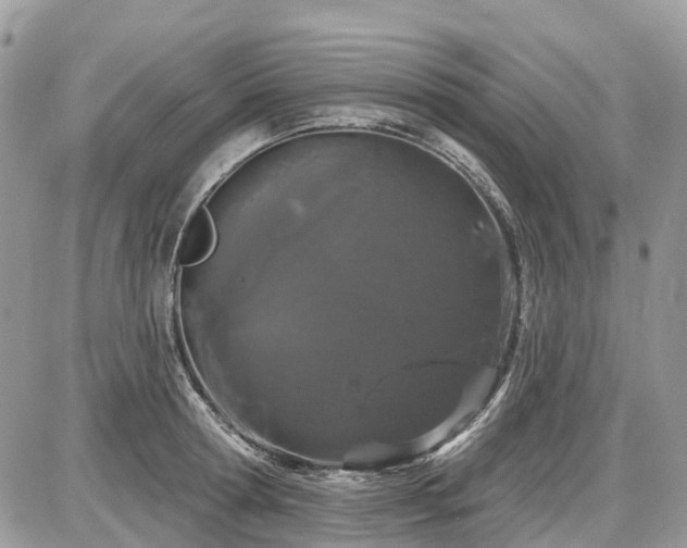 X0000086780802200704131213