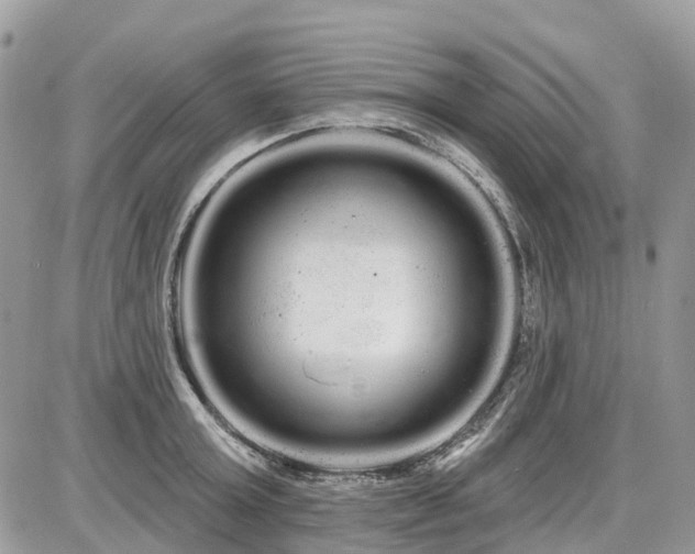 X0000086780803200704131213