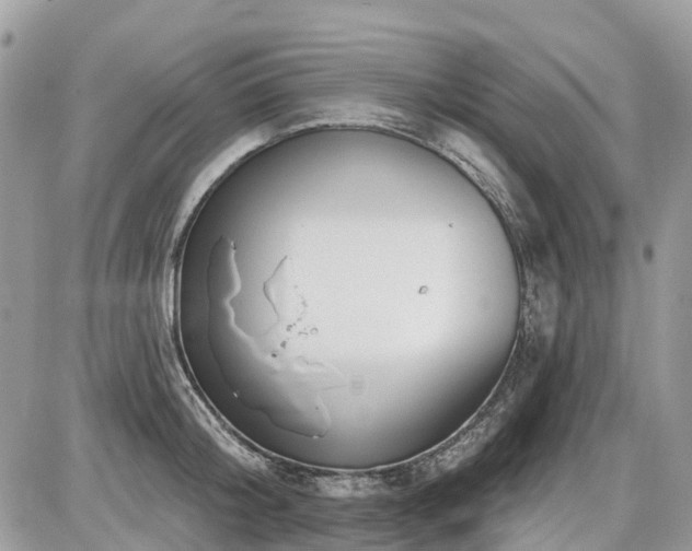 X0000086780804200704131213