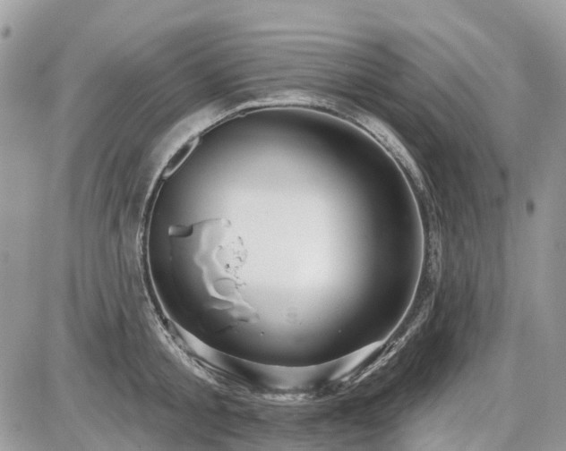 X0000086780805200704131213