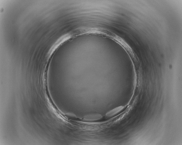 X0000086780806200704131213