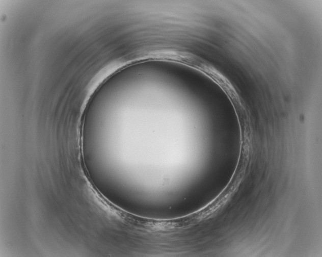 X0000086780808200704131213