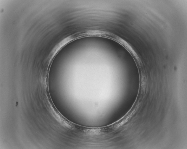 X0000086780810200704131213