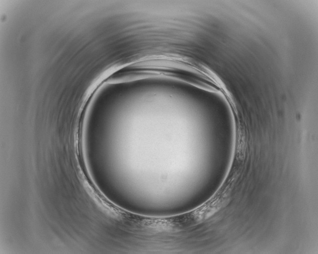 X0000086780811200704131213