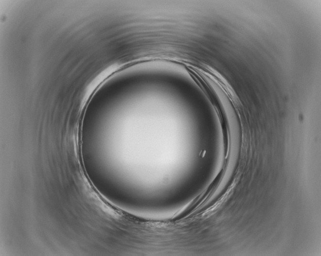 X0000086780812200704131213