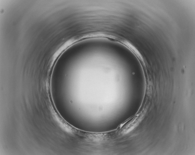 X0000086780813200704131213