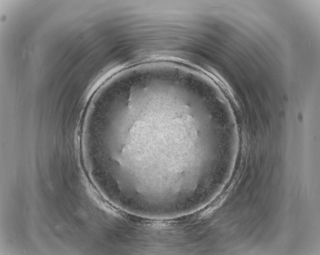 X0000086780814200704131213