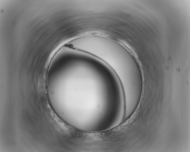 X0000086780816200704131213