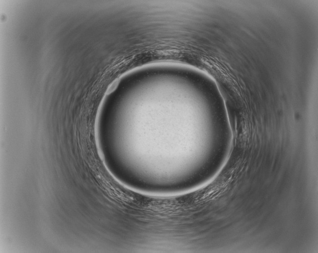 X0000086780817200704131212