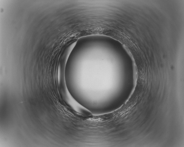 X0000086780818200704131212