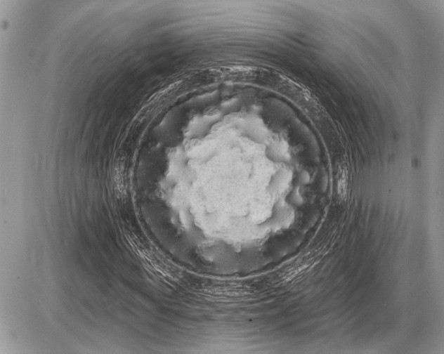 X0000086780819200704131212