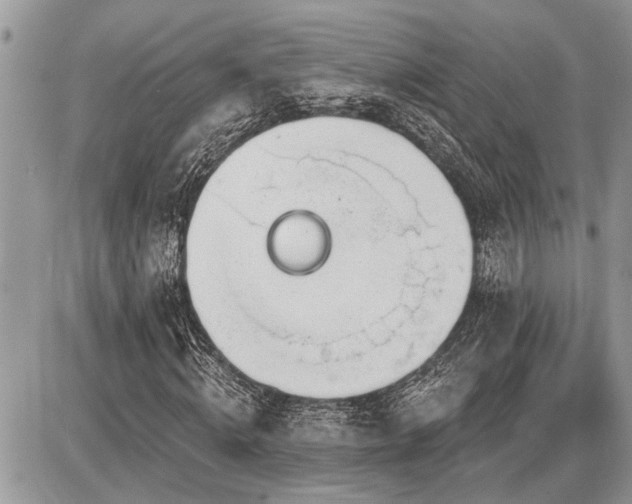 X0000086780820200704131212