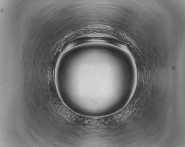 X0000086780821200704131212